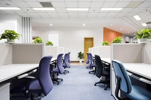 Nuestros Servicios de Reforma de Oficinas